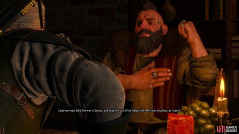 The Gangs of Novigrad .